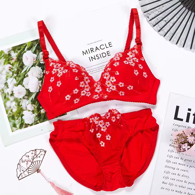 Combo Of 6 Bra & panties Sets imported | BP-04