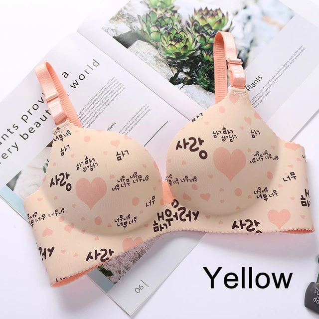 Combo Of 6 Bra & panties Sets imported | BP-26